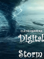Digital storm