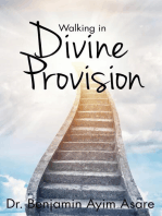 Walking in Divine Provision