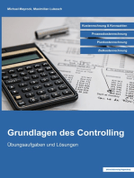 Grundlagen des Controlling