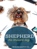 Shepherd: The Brilliant Dog