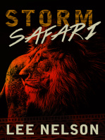 Storm Safari