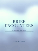 Brief Encounters: A Collection of Short Stories