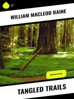 Tangled Trails: Western Mystery