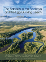 The Salvelinus, The Sockeye, and the Egg-Sucking Leech:: Abundance and Diversity in the Bristol Bay Drainage (from the Eyes of an Angler)