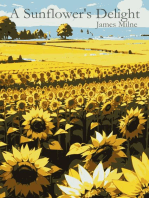 A Sunflower's Delight