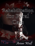 Rehabilitation for Feral Cats