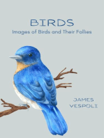 Birds: Images of Birds and Their Follies