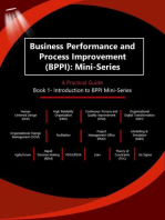 Business Performance and Process Improvement (BPPI)