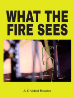 What the Fire Sees: A Divided Reader
