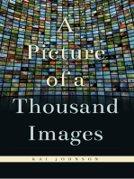 A Picture of a Thousand Images