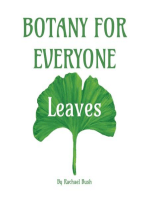 Botany for Everyone: Leaves