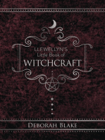 Llewellyn's Little Book of Witchcraft