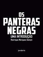 Os Panteras Negras: Uma introdução