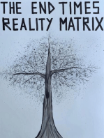 The End Times Reality Matrix