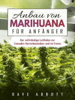 Anbau von Marihuana für Anfänger