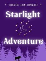 Starlight Adventure