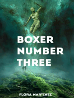 Boxer number three