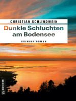 Dunkle Schluchten am Bodensee: Kriminalroman