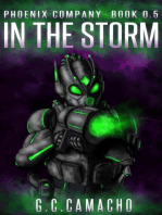 In The Storm: Phoenix Company, #0.5