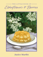 The Little Book of Elderflowers and Berries