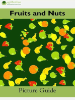 Fruits and Nuts: A Picture Guide