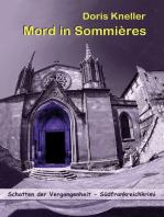 Mord in Sommières - Südfrankreichkrimi: Die Schatten der Vergangenheit