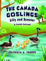 The Canada Goslings: Lilly and Scooter "A Lesson Learned"