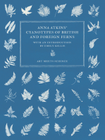 Anna Atkins' Cyanotypes of British and Foreign Ferns