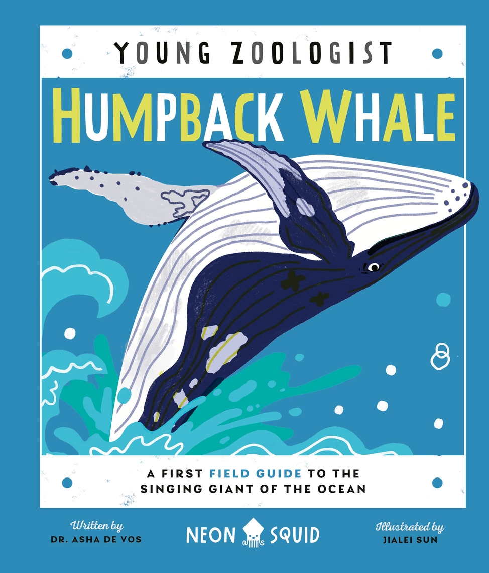31 Incredible and Beautiful Marine Animals-Biology for Kids and Teens🐋 