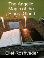The Angelic Magic of the Pineal Gland: Aliens and parallel worlds, #16
