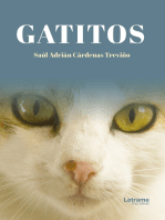 Gatitos