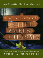 The Secrets of Still Waters Chasm