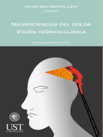 Neurociencias del dolor. Visión teórico-clínica