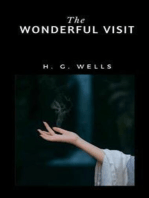 The Wonderful Visit