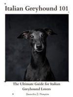 Italian Greyhound 101