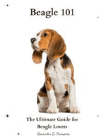 Beagle 101: The Ultimate Guide for Beagle Lovers