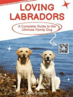 Loving Labradors: A Complete Guide to the Ultimate Family Dog