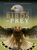The Secret Life of Birds of Prey: Feathers, Fury and Friendship