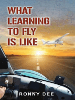 What Learning to Fly Is Like: For Those Who Thought or Are Thinking about It but Never Have Jumped on Board.