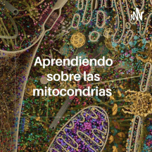 Aprendiendo sobre las mitocondrias