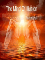 The Mind Of Illusion