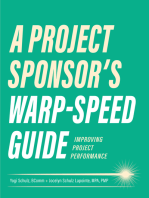 A Project Sponsor's Warp-Speed Guide