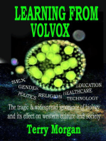 Learning from Volvox