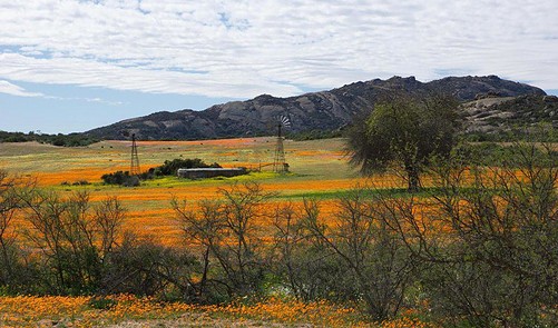 Welcome Spring At These Breathtaking South African Destinations ...