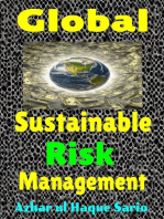 Global Sustainable Risk Management