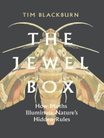 The Jewel Box: How Moths Illuminate Nature’s Hidden Rules