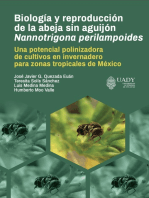 Biología y reproducción de la abeja sin aguijón Nannotrigona perilampoides: Una potencial polinizadora de cultivos en invemadero para zonas tropicales de México