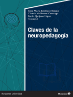 Claves de la neuropedagogía