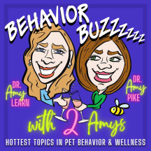 Behavior Buzzzzzz with 2 Amys