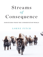 Streams of Consequence